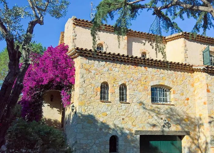 Vuyani * Antibes